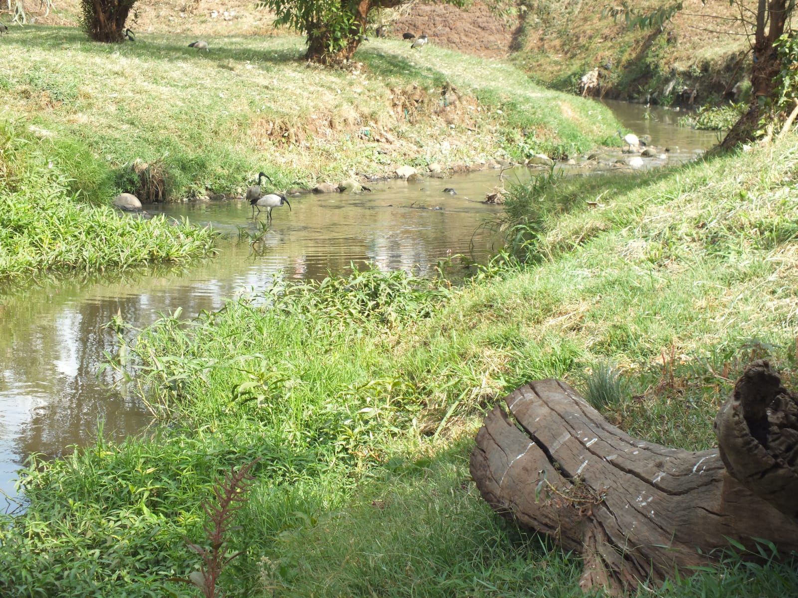 File photo: a stretch of the Nairobi River. The image is not from the demolitions or from this year's rains.
