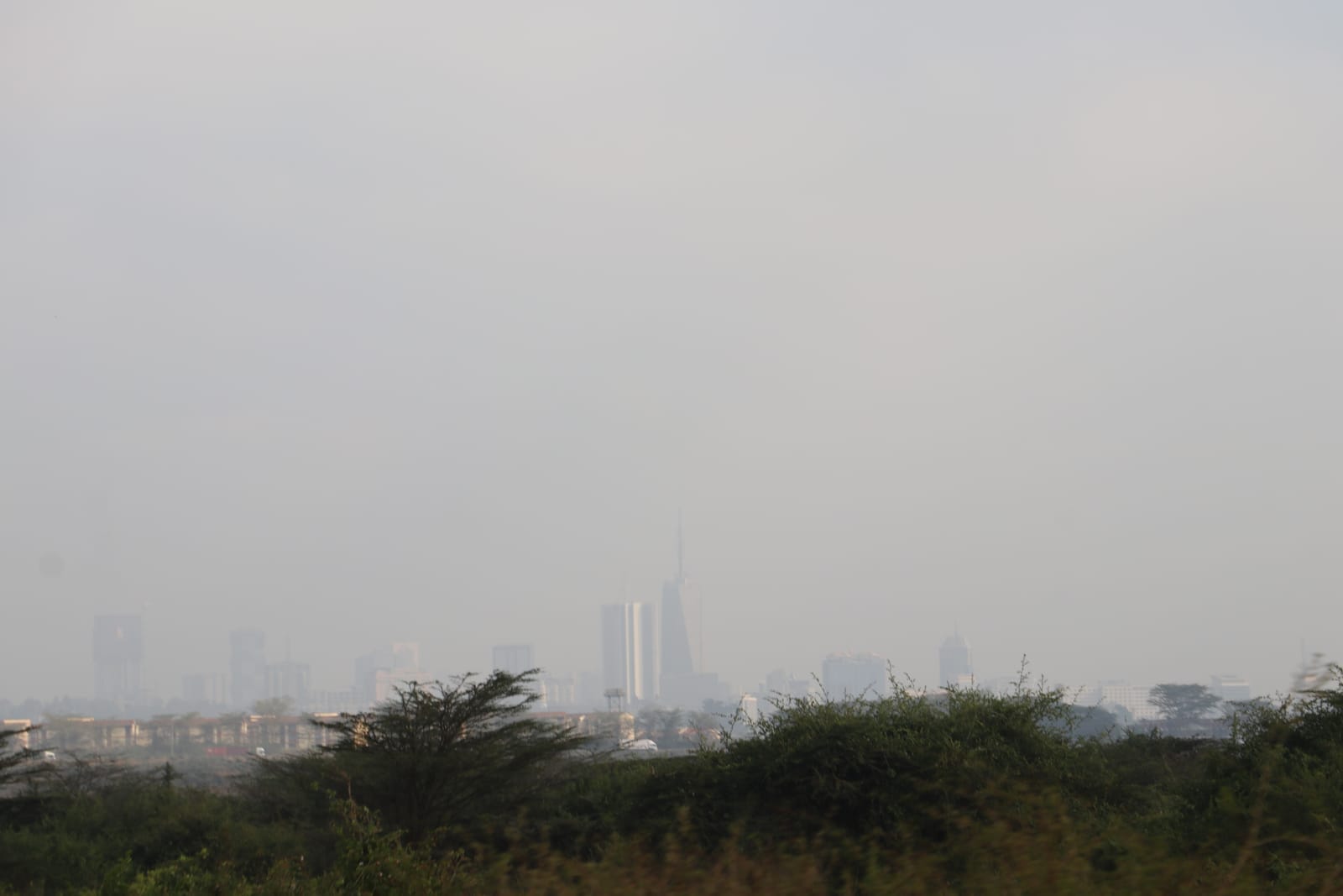 从内罗毕国家公园望去的内罗毕天际线，可见Britam大厦（Britam Tower）（资料图，2025年9月）。