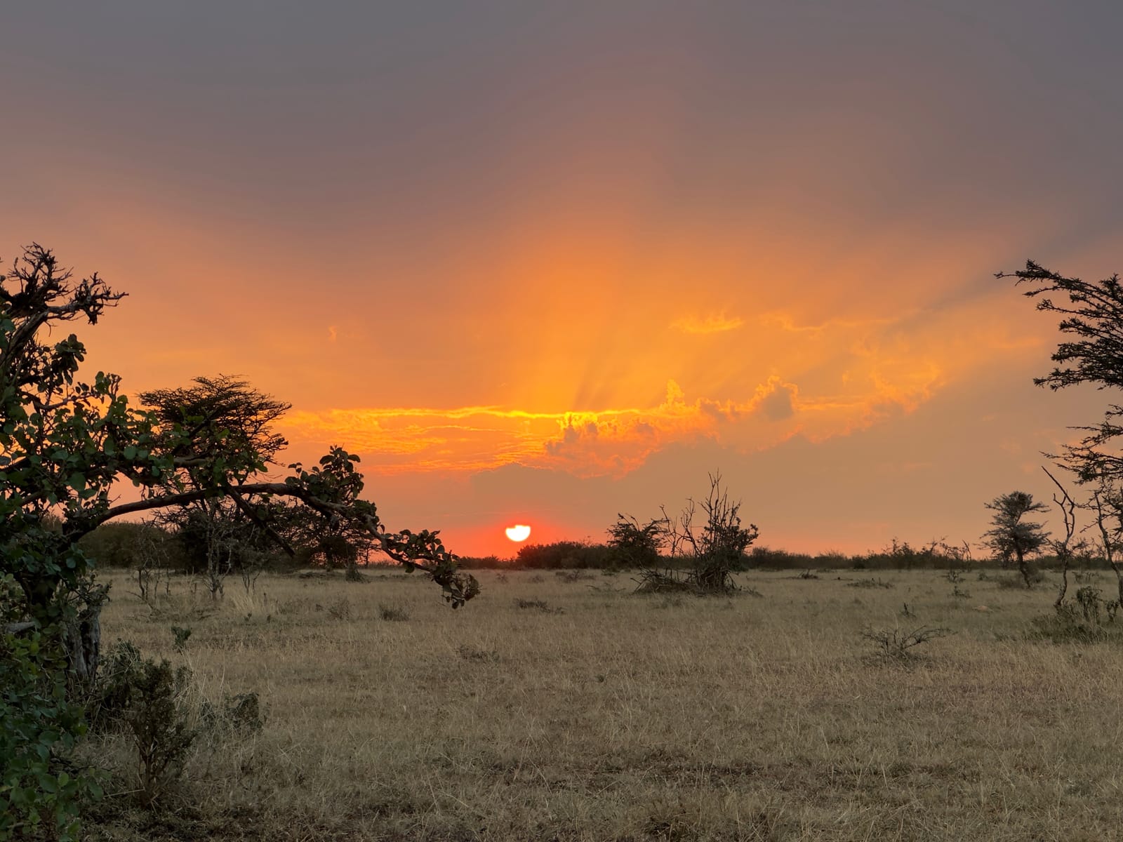 Sunset over savannah and acacia trees in the Nashulai Maasai Conservancy near the Maasai Mara, Narok, Kenya (file photo, 2023).